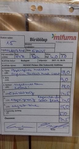 torzonborz.jpg torzonborz.jpg